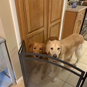 Meet your Posher, Donna